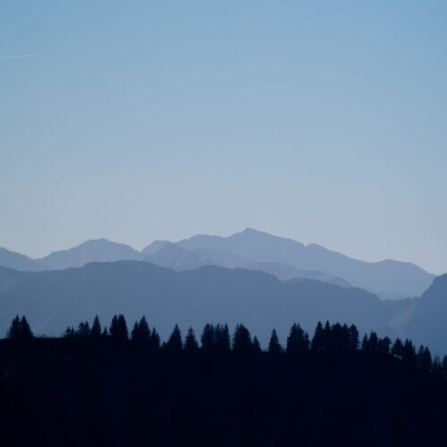 Les arbres veillent, les montagnes s’effacent