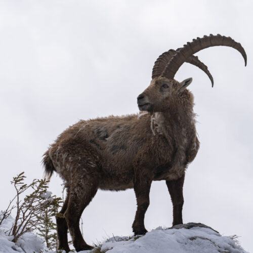 Au seuil de l’hiver