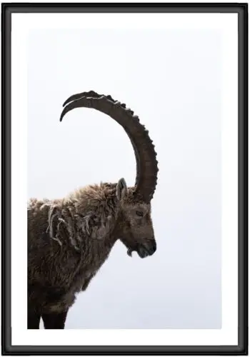 Caisse americaine en aluminum