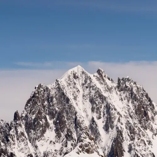 Lumière sur la Reine sauvage - La Verte