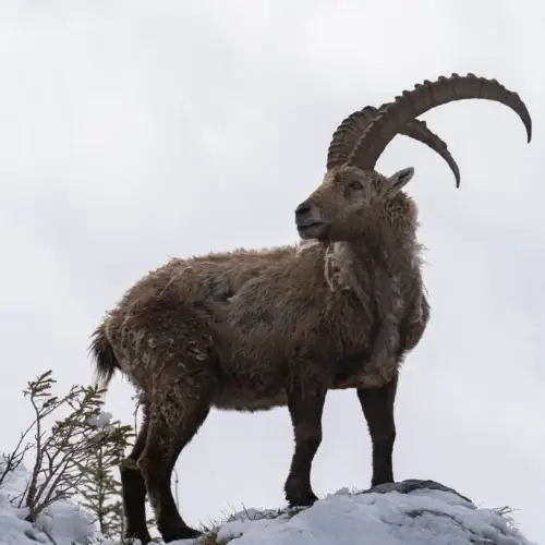 Au seuil de l’hiver