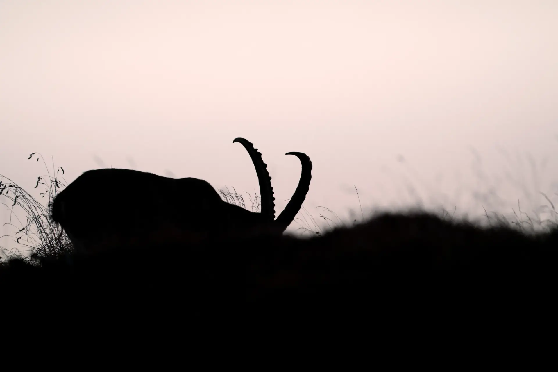 À l’aube des hauteurs