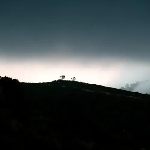 Veilleurs sur la colline