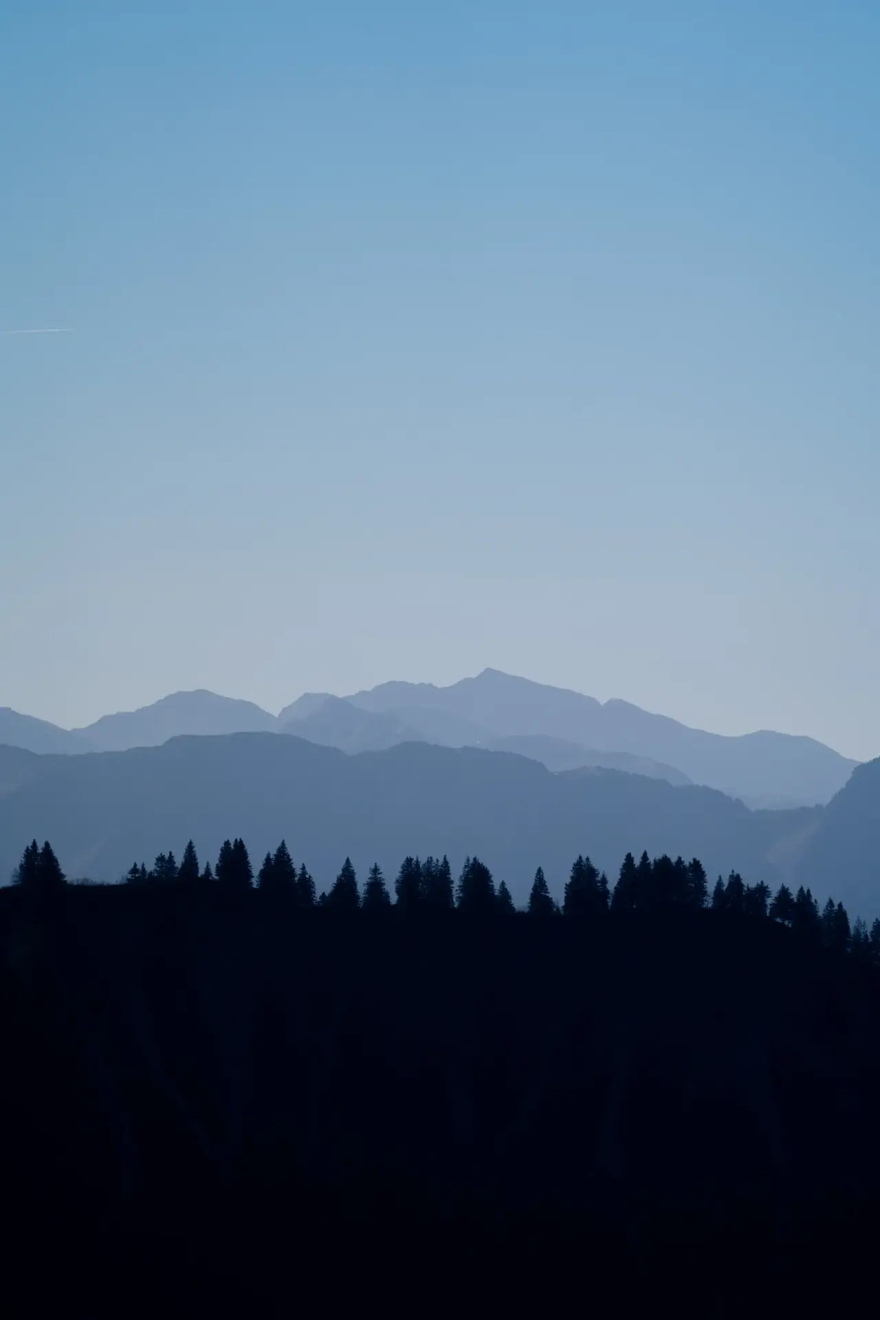 Les arbres veillent, les montagnes s’effacent